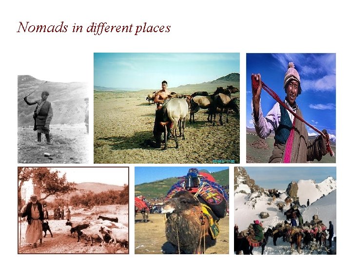 Nomads in different places 