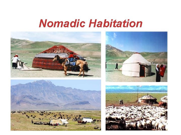 Nomadic Habitation 