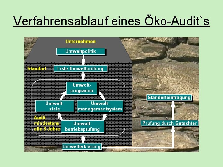 Verfahrensablauf eines Öko-Audit`s Verfahrensablauf eines Öko-Audit`s