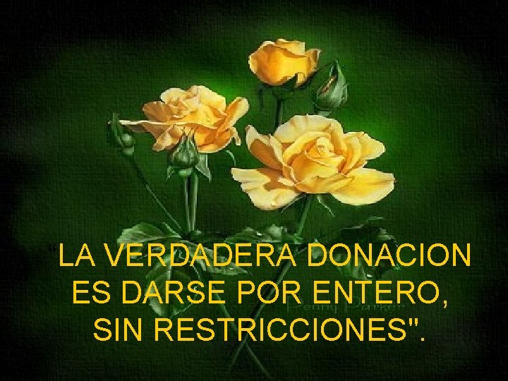 “LA VERDADERA DONACION ES DARSE POR ENTERO, SIN RESTRICCIONES". 