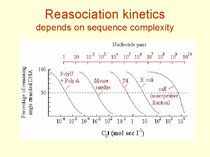 Reasociation kinetics depends on sequence complexity 