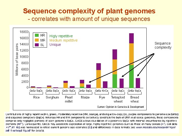 Sequence complexity of plant genomes - correlates with amount of unique sequences Higly repetitive
