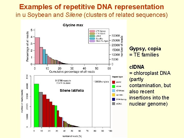 Examples of repetitive DNA representation in u Soybean and Silene (clusters of related sequences)