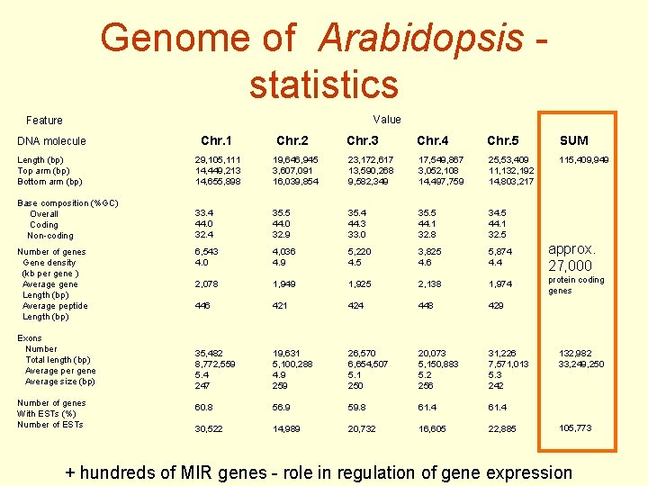 Genome of Arabidopsis - statistics Value Feature DNA molecule Chr. 1 Length (bp) Top