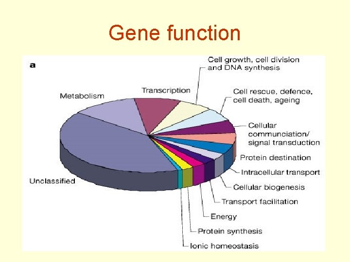 Gene function 