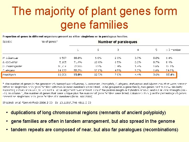 The majority of plant genes form gene families Number of paraloques • duplications of