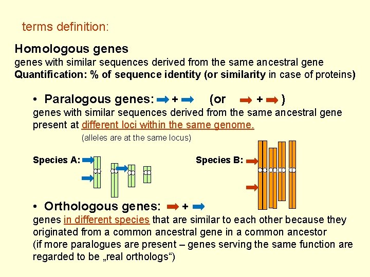 terms definition: Homologous genes with similar sequences derived from the same ancestral gene Quantification: