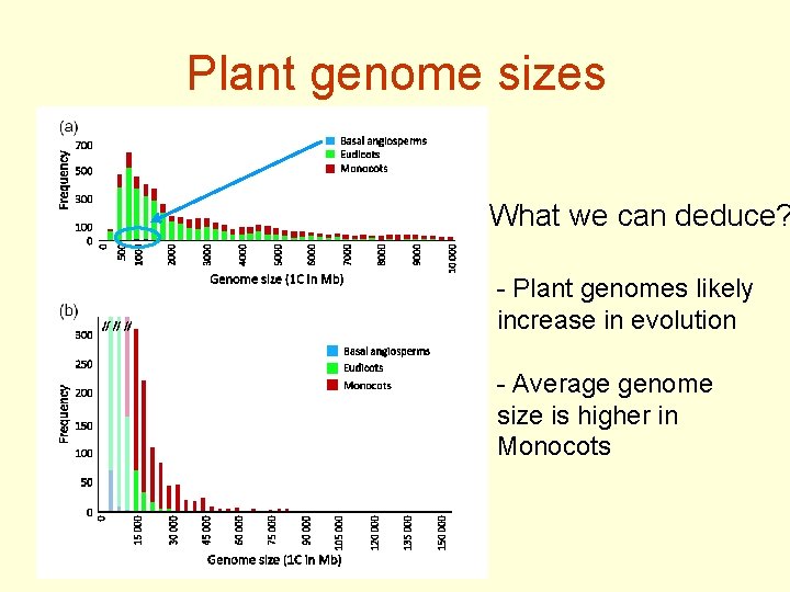 Plant genome sizes What we can deduce? - Plant genomes likely increase in evolution