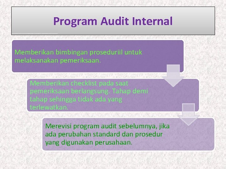 Program Audit Internal Memberikan bimbingan proseduriil untuk melaksanakan pemeriksaan. Memberikan checklist pada saat pemeriksaan