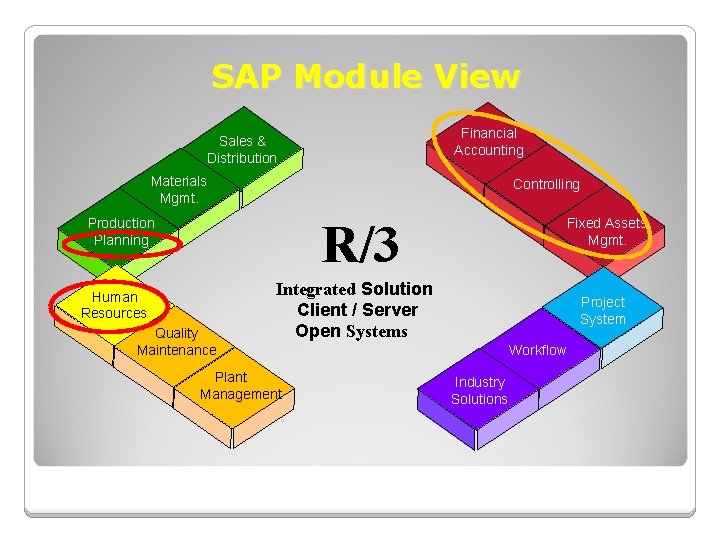 SAP Module View Financial Accounting Sales & Distribution Materials Mgmt. Controlling R/3 Production Planning