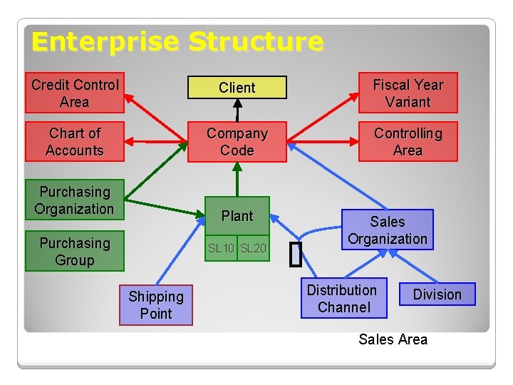 Enterprise Structure Credit Control Area Client Fiscal Year Variant Chart of Accounts Company Code