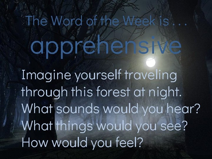 The Word of the Week is. . . apprehensive Imagine yourself traveling through this