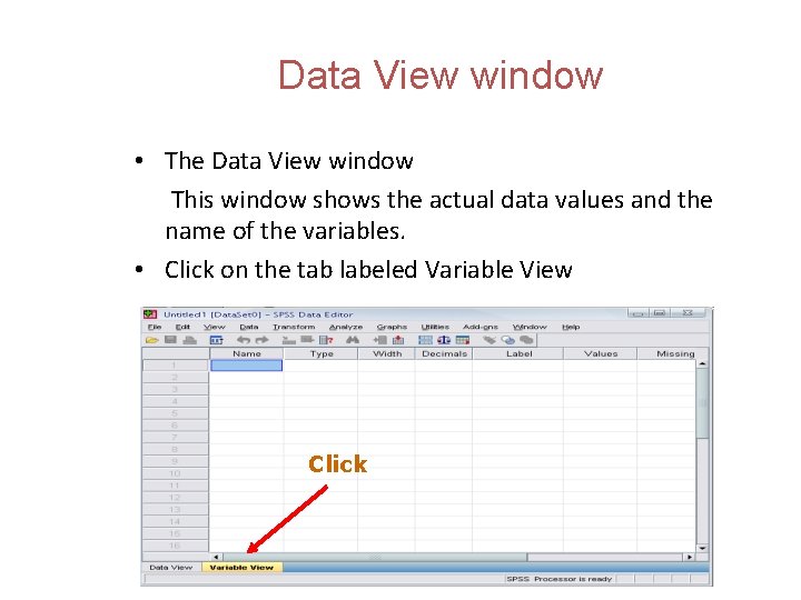 Data View window • The Data View window This window shows the actual data