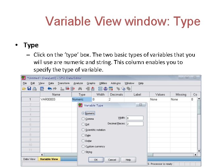 Variable View window: Type • Type – Click on the ‘type’ box. The two