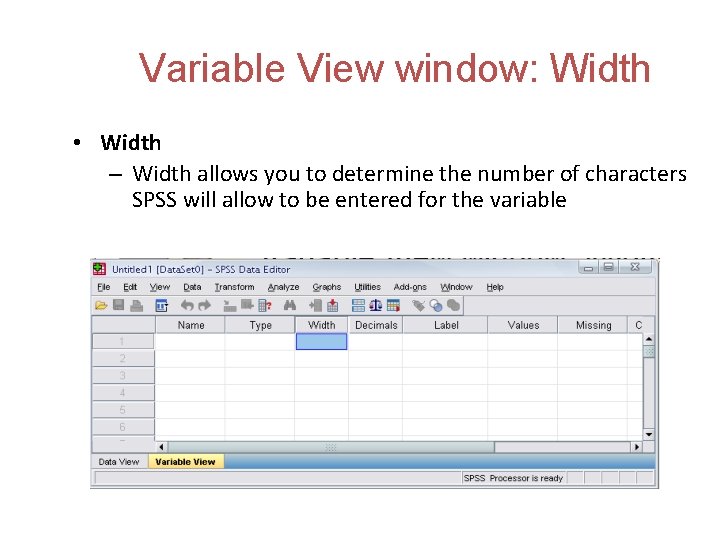 Variable View window: Width • Width – Width allows you to determine the number