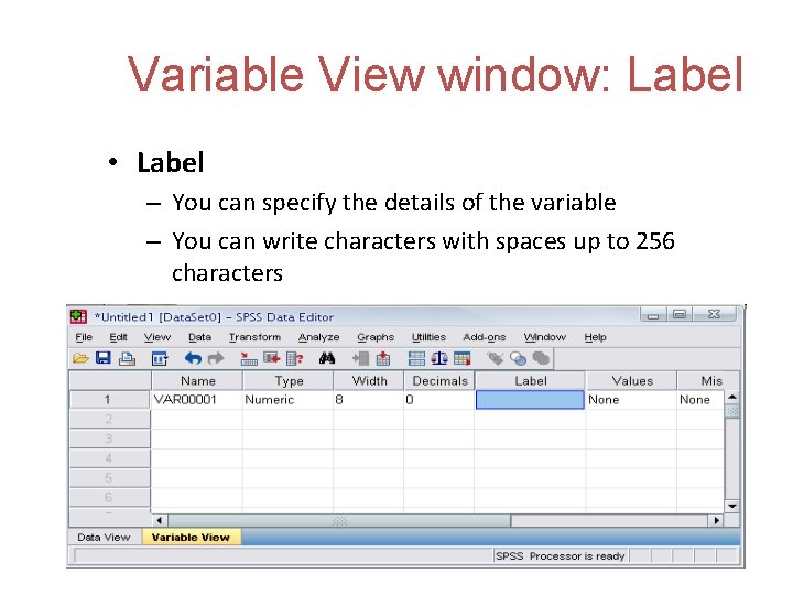 Variable View window: Label • Label – You can specify the details of the