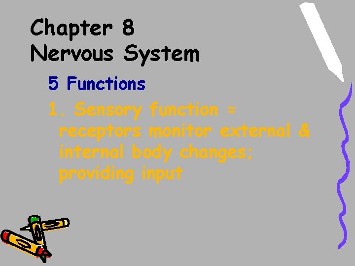 Chapter 8 Nervous System 5 Functions 1. Sensory function = receptors monitor external & Chapter 8 Nervous System 5 Functions 1. Sensory function = receptors monitor external &