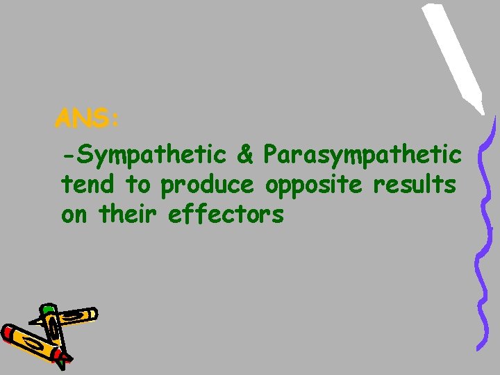 ANS: -Sympathetic & Parasympathetic tend to produce opposite results on their effectors ANS: -Sympathetic & Parasympathetic tend to produce opposite results on their effectors