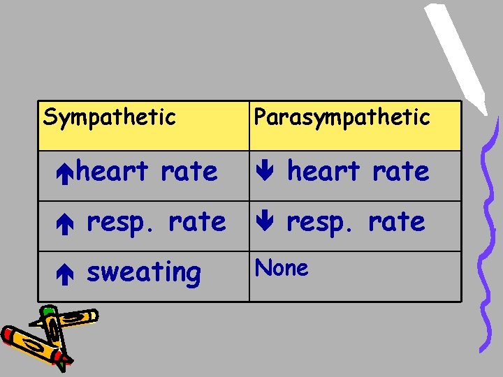 Sympathetic heart rate Parasympathetic heart rate resp. rate sweating None Sympathetic heart rate Parasympathetic heart rate resp. rate sweating None
