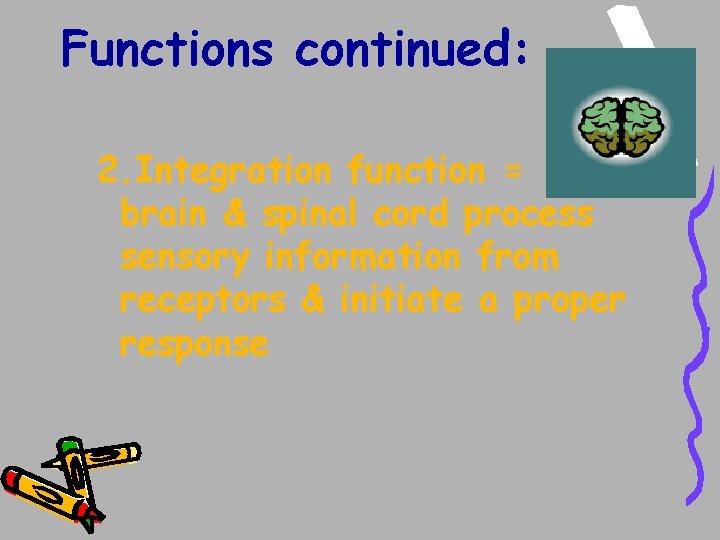 Functions continued: 2. Integration function = brain & spinal cord process sensory information from Functions continued: 2. Integration function = brain & spinal cord process sensory information from