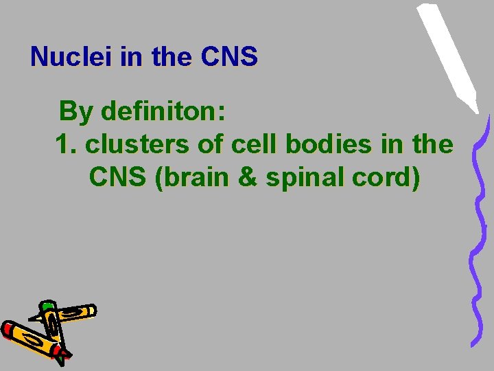 Nuclei in the CNS By definiton: 1. clusters of cell bodies in the CNS Nuclei in the CNS By definiton: 1. clusters of cell bodies in the CNS