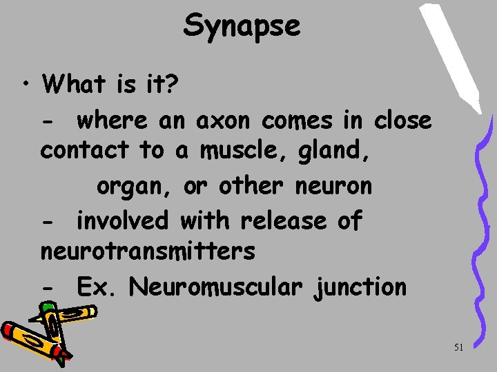 Synapse • What is it? - where an axon comes in close contact to Synapse • What is it? - where an axon comes in close contact to