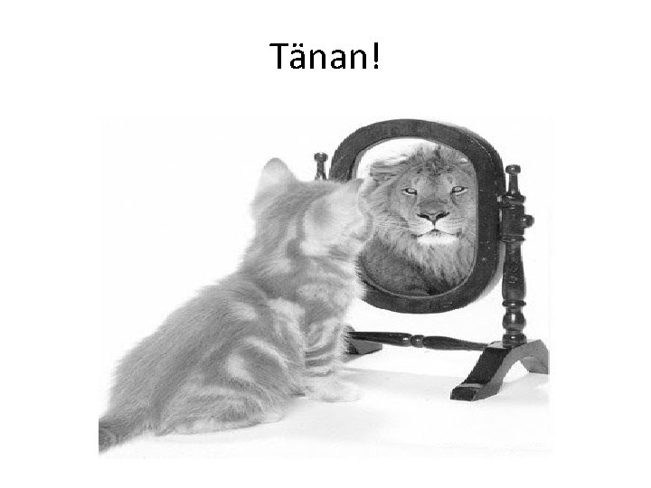 Tänan! 