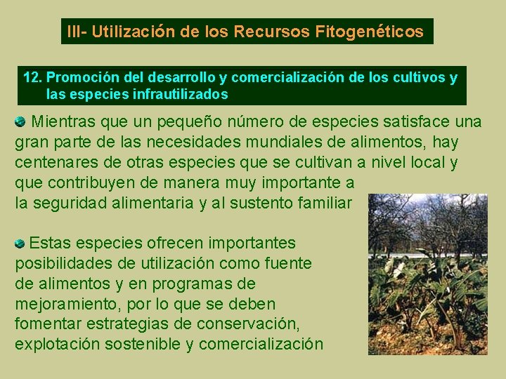 El Plan de Accin Mundial para la Conservacin