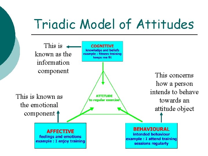 Triadic Model of Attitudes This is known as the information component This is known