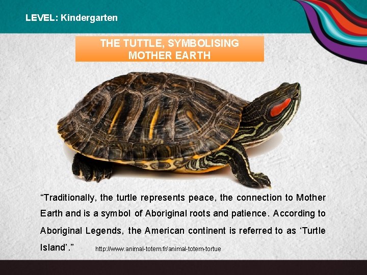 LEVEL: Kindergarten THE TUTTLE, SYMBOLISING MOTHER EARTH “Traditionally, the turtle represents peace, the connection