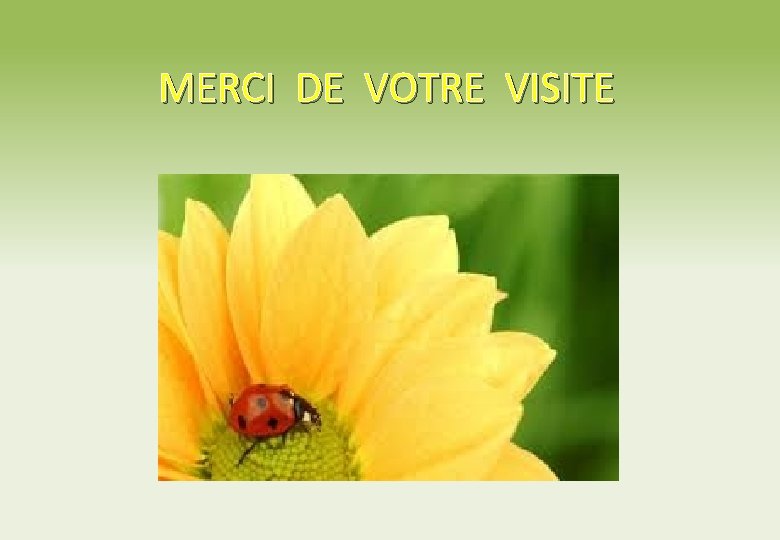 MERCI DE VOTRE VISITE 