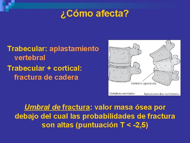 ¿Cómo afecta? Trabecular: aplastamiento vertebral Trabecular + cortical: fractura de cadera Umbral de fractura: ¿Cómo afecta? Trabecular: aplastamiento vertebral Trabecular + cortical: fractura de cadera Umbral de fractura: