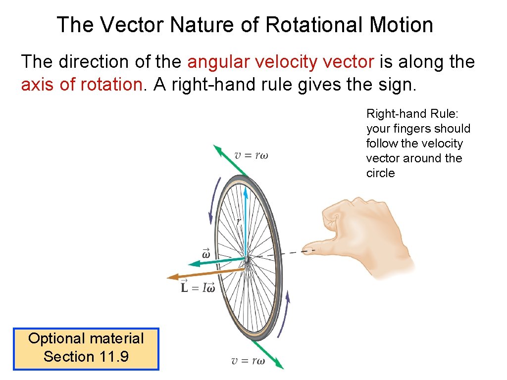 The Vector Nature of Rotational Motion The direction of the angular velocity vector is