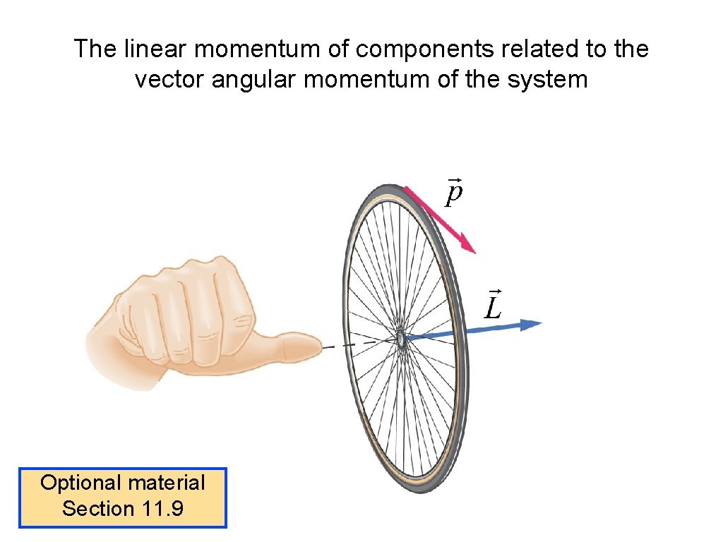 The linear momentum of components related to the vector angular momentum of the system