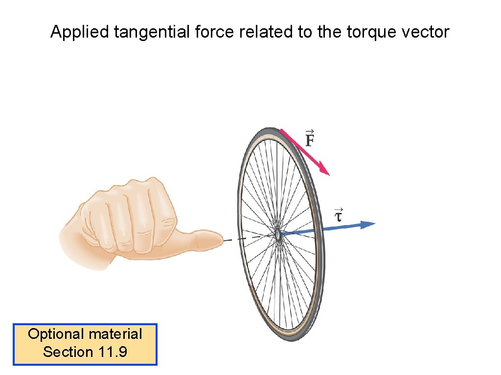 Applied tangential force related to the torque vector Optional material Section 11. 9 