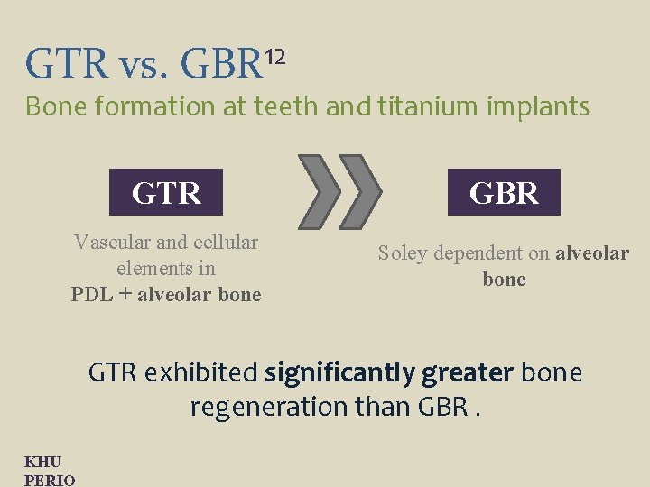 GTR vs. 12 GBR Bone formation at teeth and titanium implants GTR GBR Vascular