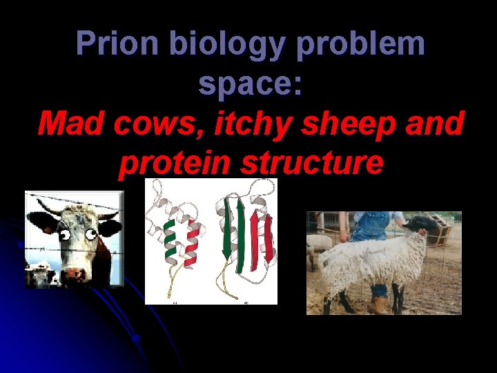 Prion biology problem space: Mad cows, itchy sheep and protein structure 