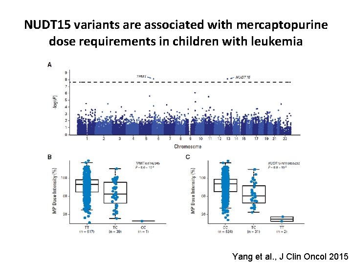 NUDT 15 variants are associated with mercaptopurine dose requirements in children with leukemia Yang
