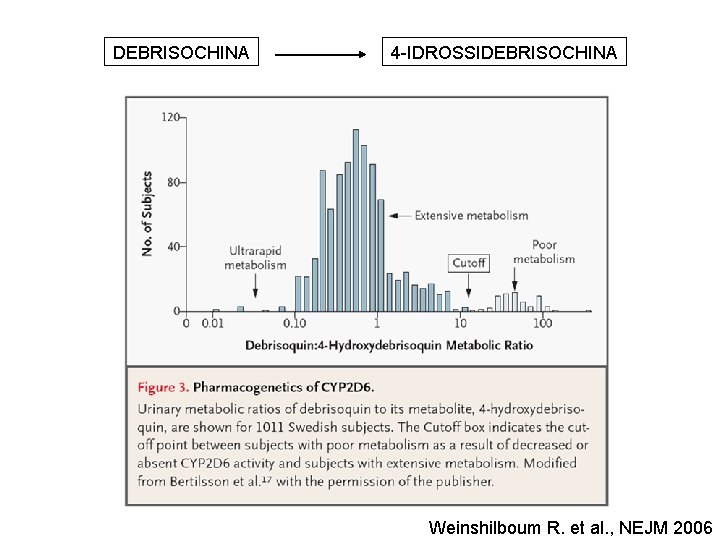 DEBRISOCHINA CYP 2 D 6 4 -IDROSSIDEBRISOCHINA Immagine presa da Weinshilboum R. et al.