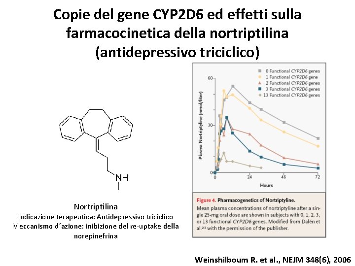 Copie del gene CYP 2 D 6 ed effetti sulla farmacocinetica della nortriptilina (antidepressivo