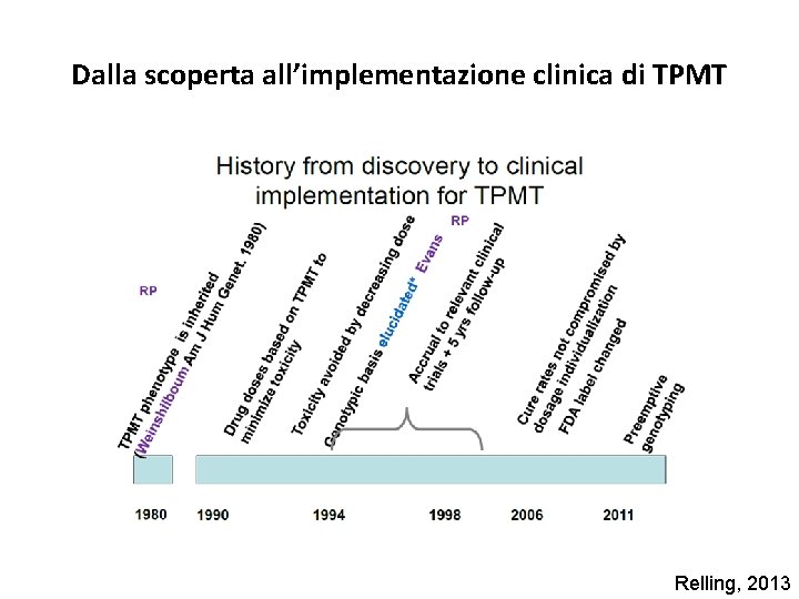 Dalla scoperta all’implementazione clinica di TPMT Relling, 2013 