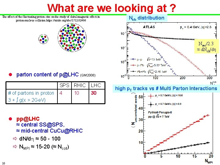 What are we looking at ? The effect of the fluctuating proton size on