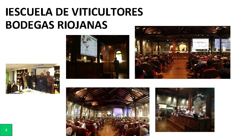 IESCUELA DE VITICULTORES BODEGAS RIOJANAS 4 