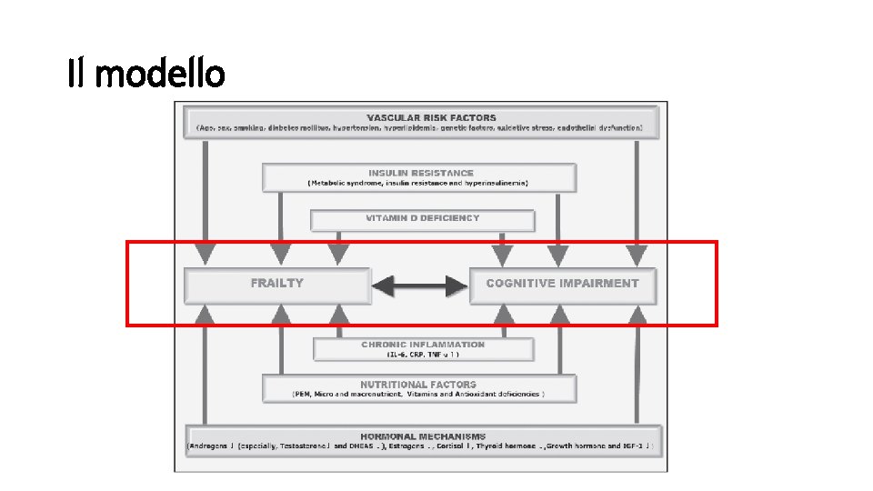 Il modello 