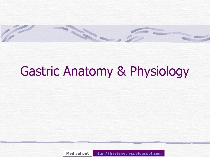 Gastric Anatomy & Physiology Medical ppt http: //hastaneciyiz. blogspot. com 