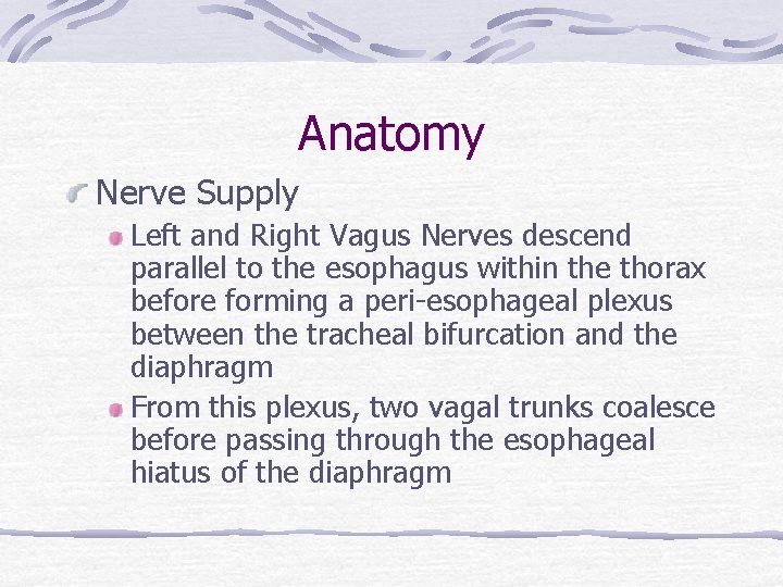 Anatomy Nerve Supply Left and Right Vagus Nerves descend parallel to the esophagus within