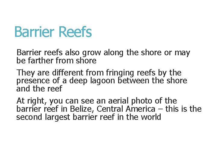 Barrier Reefs Barrier reefs also grow along the shore or may be farther from