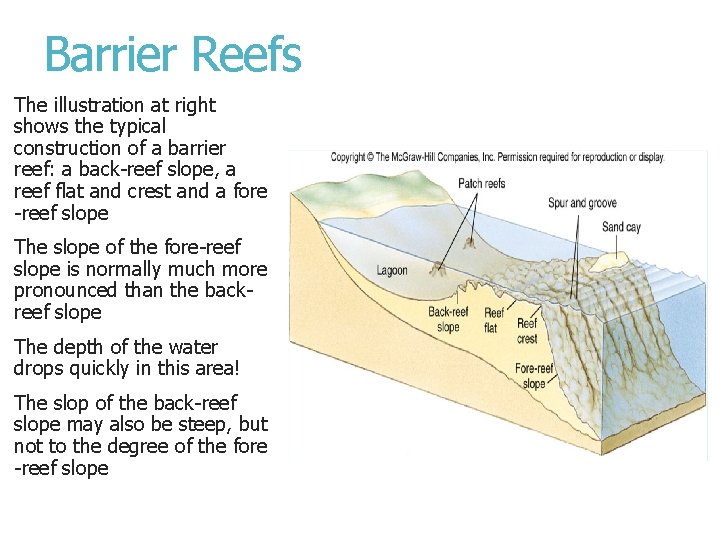 Barrier Reefs The illustration at right shows the typical construction of a barrier reef: