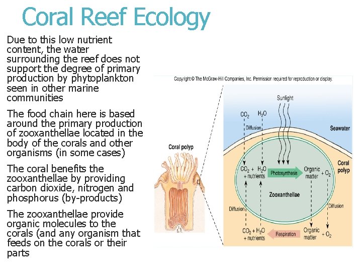 Coral Reef Ecology Due to this low nutrient content, the water surrounding the reef