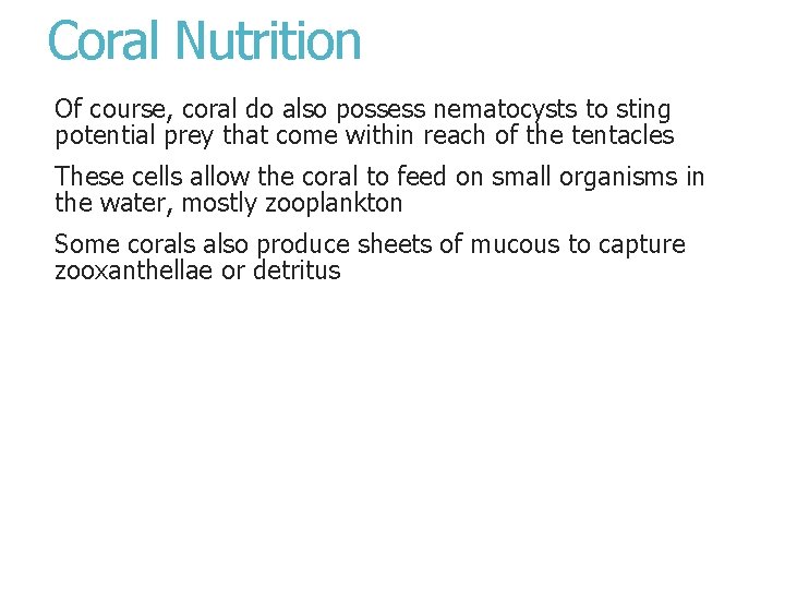 Coral Nutrition Of course, coral do also possess nematocysts to sting potential prey that